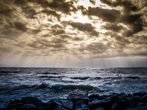 You want to live ~ David Whyte