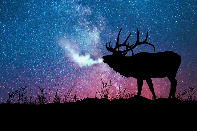 Black Elk Speaks: Vision of Unity