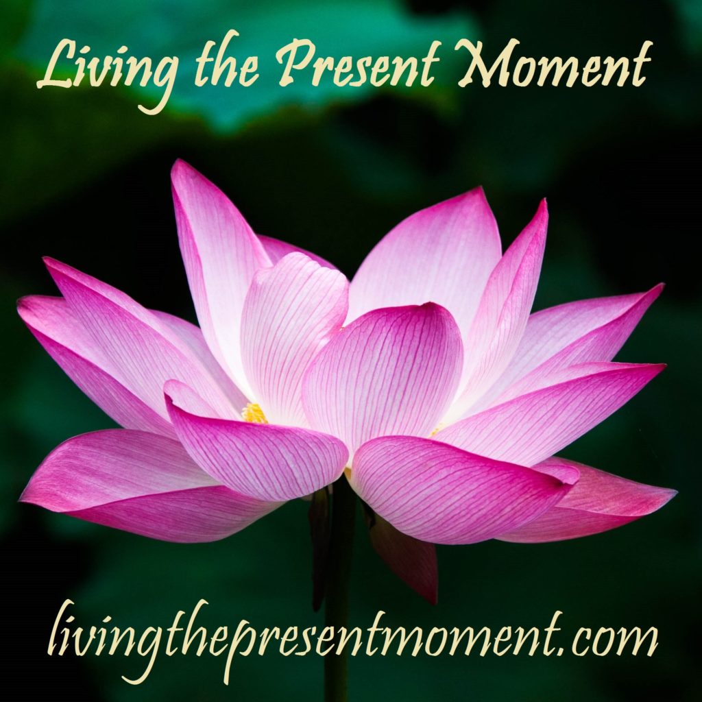The Right Honorable Dr. Louise Bennett-Coverley (Miss Lou) – Living The  Present Moment