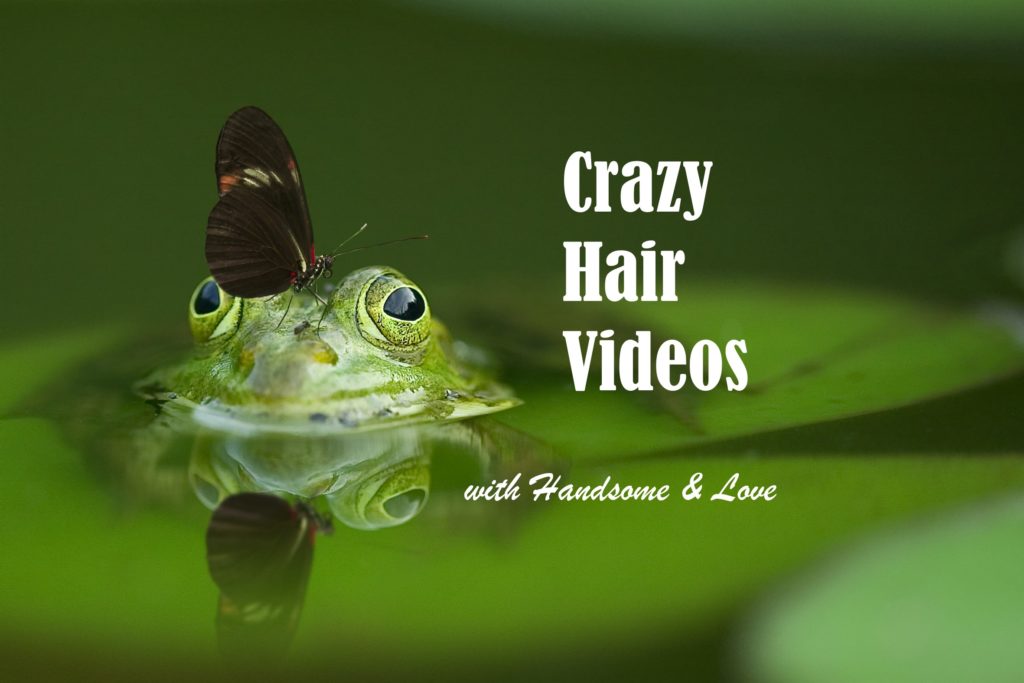 Crazy Hair Videos - Rediscovering Play
