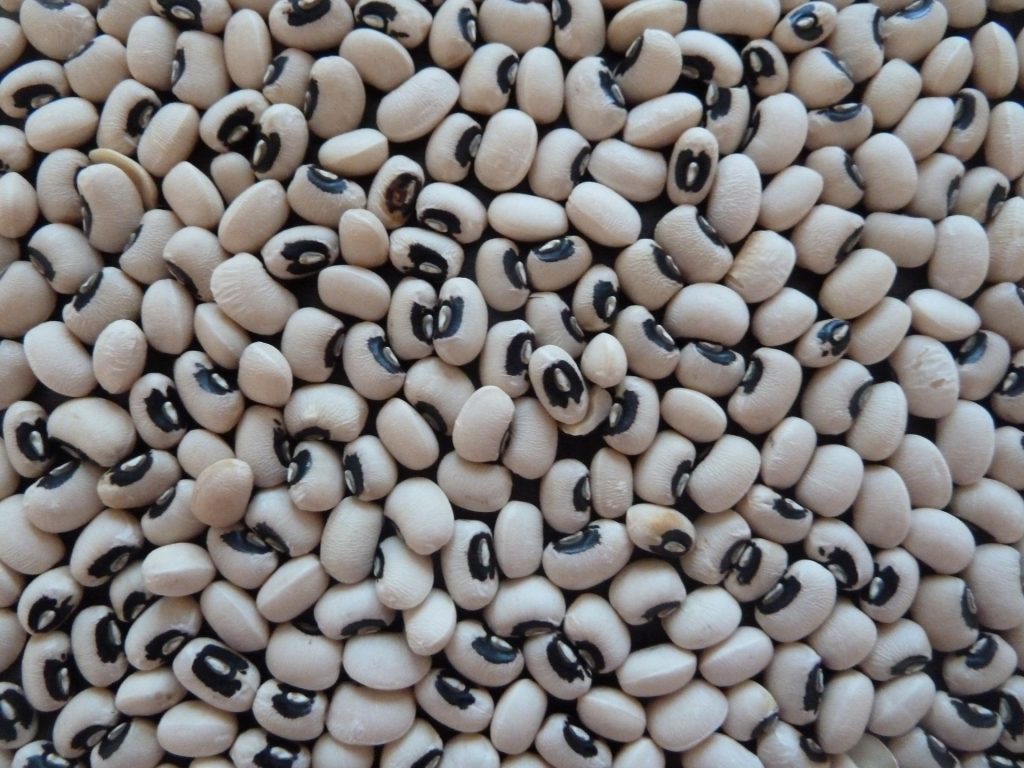 Black-Eyed Peas, Tradition, and Luck