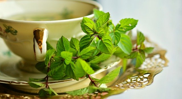 Irritable Bowel Syndrome and Peppermint
