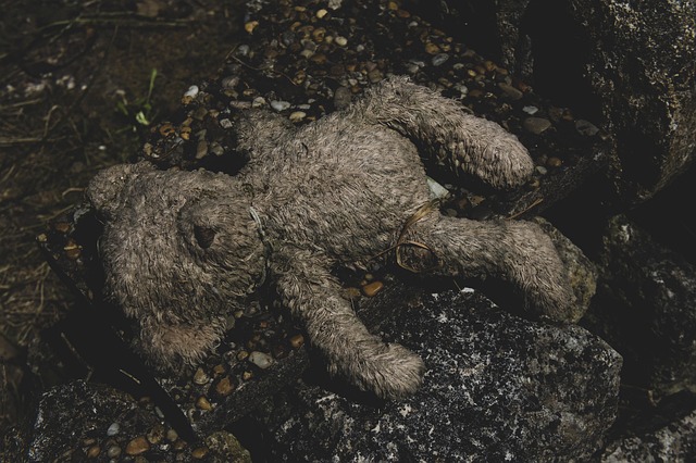 Field Guide to the Apocalypse ~ Athena Aktipis