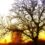 Awake My Soul ~ Mumford & Sons