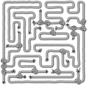 The Quest for Care ~ Arthur Kleinman